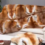 Decke aus Rotfuchsfell 140 x 200 cm - Cavalli