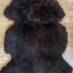 MEGA Fell - Merino Bockfell einzigartig