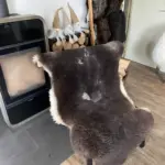 MEGA Fell - Merino Bockfell extravagent – Bild 2