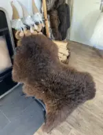 MEGA Fell - Merino Bergschaf fein und braun – Bild 3